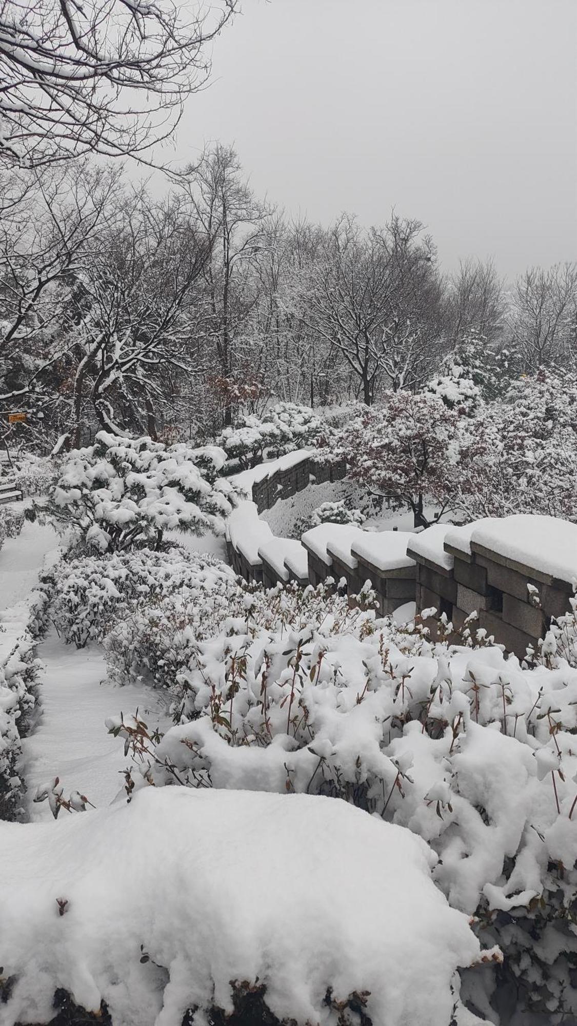 Seoul Namsan Stay Exterior photo