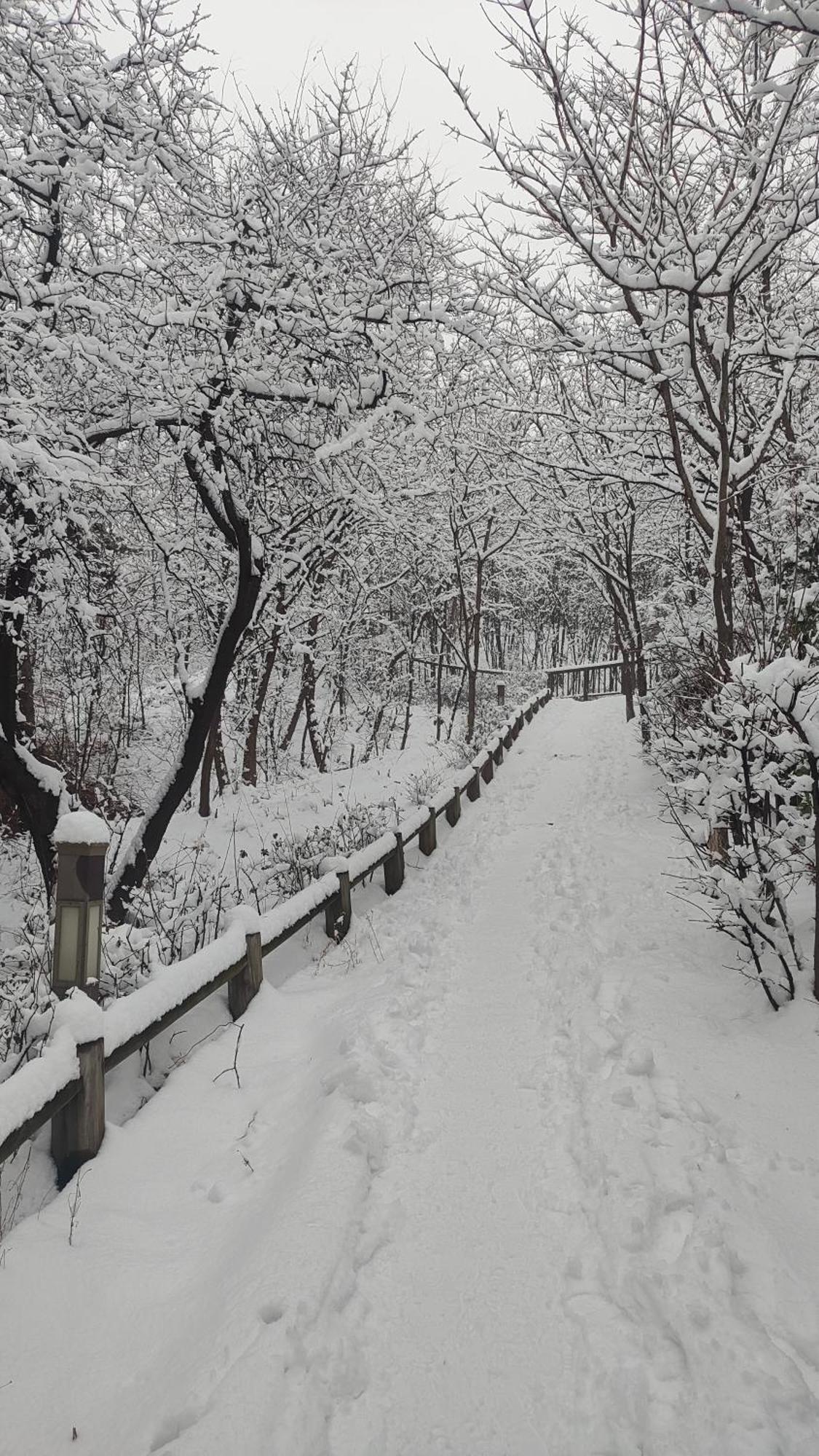 Seoul Namsan Stay Exterior photo