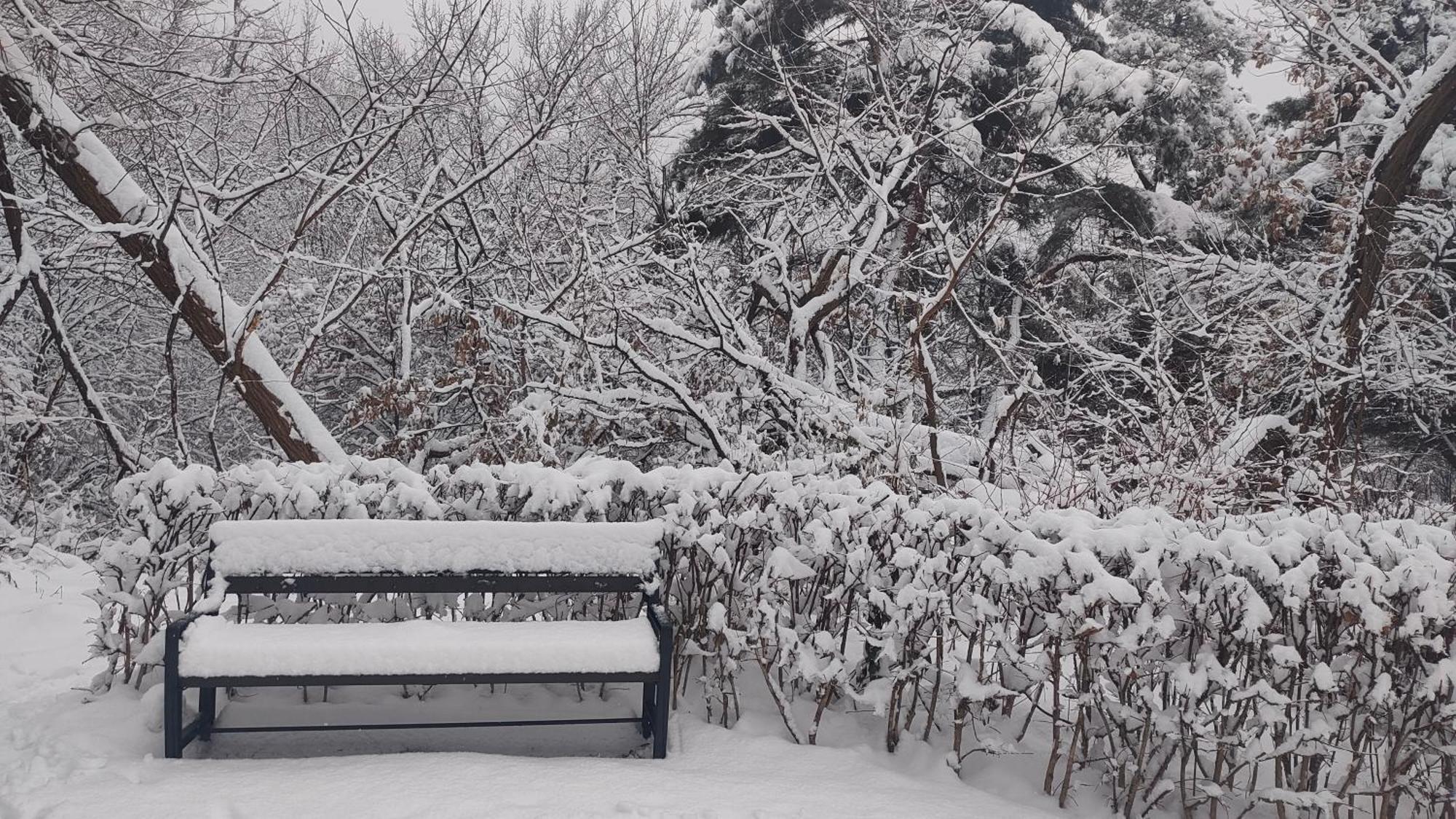 Seoul Namsan Stay Exterior photo